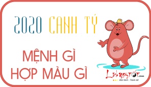 Sn 2020 mệnh gì? Tuổi con gì? Họ hợp màu và số gì?