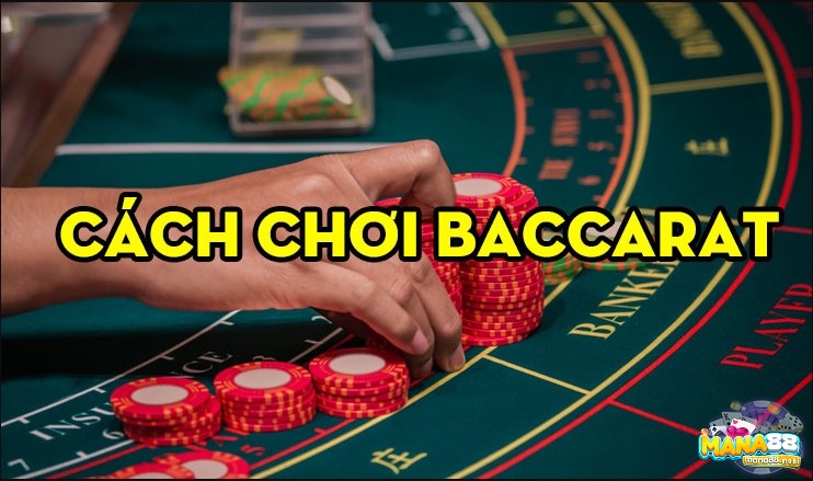 Hướng dẫn chơi baccarat hiệu quả nhất, dễ chơi dễ thắng