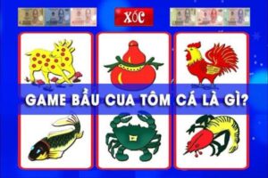 Bầu tôm cua cá là gì? Cùng mana88 hướng dẫn cách chơi