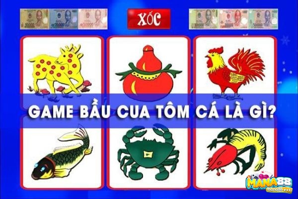 Giới thiệu về bầu tôm cua cá là gì?