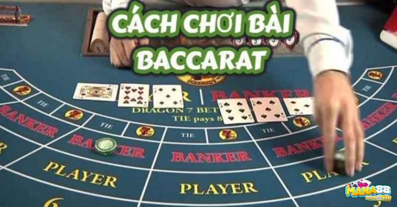 Thuật toàn baccarat có những gì?