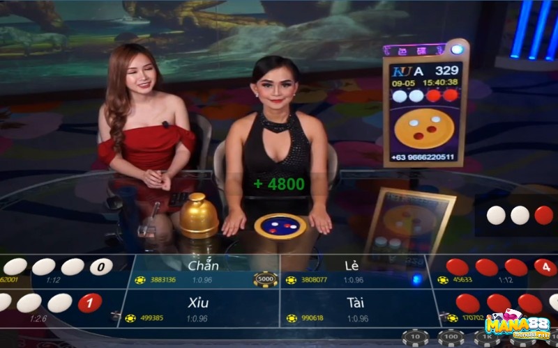 Các cách hack xóc đĩa Ku Casino dễ dàng nhất