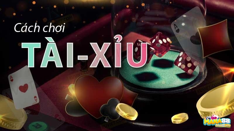  Luật chơi taif xiur cơ bản