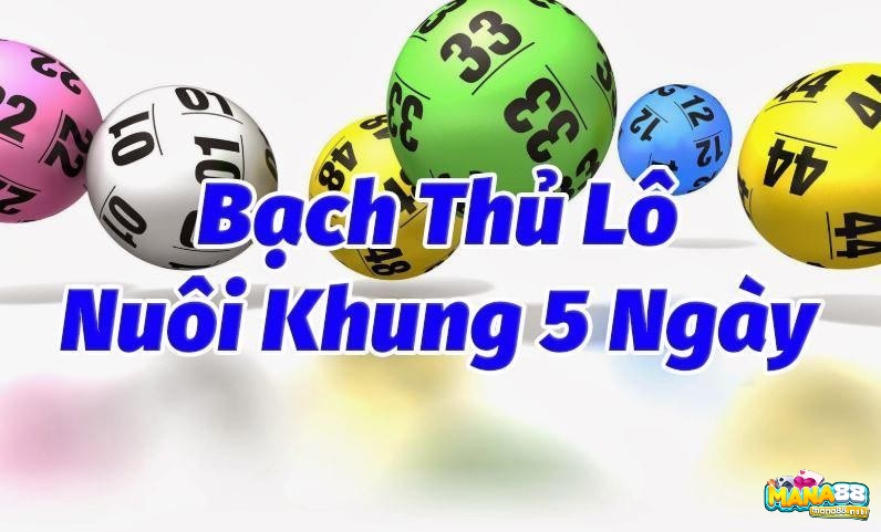 Cách soi cầu nuôi khung 5 ngày