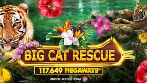 Big Cat Rescue Megaways: Game slot cho tín đồ yêu mèo