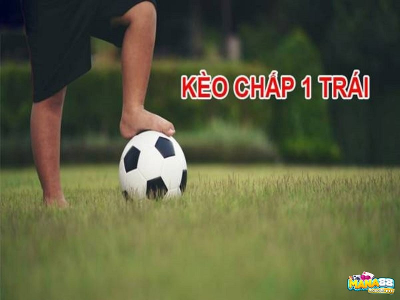 Hiểu rõ để đặt kèo chấp cá hòa chấp 1 trái