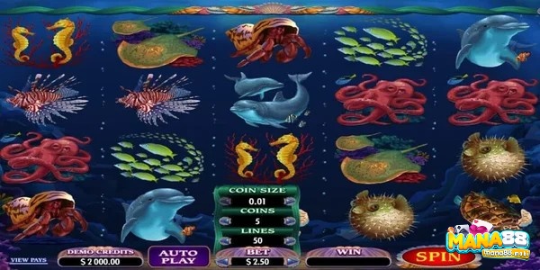 Cùng Mana88 review slot game Dolphins Night nhé