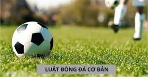 Luật bóng đá: Tìm hiểu về những quy định quan trọng nhất