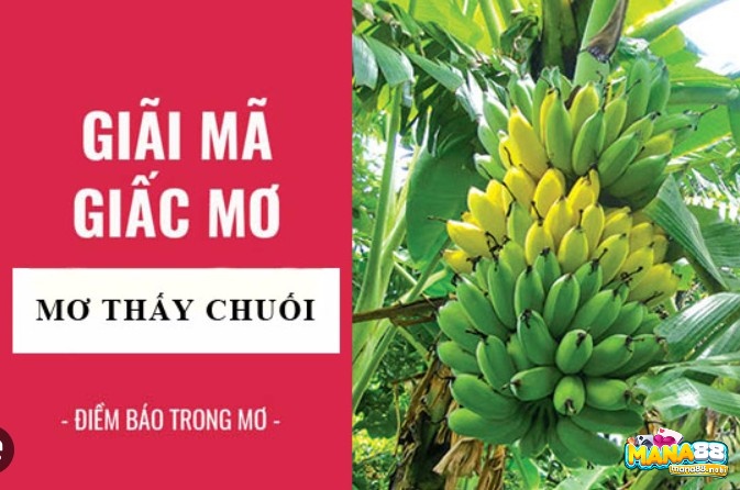 Chiêm bao thấy chuối chín trong dân gian có ý nghĩa gì?