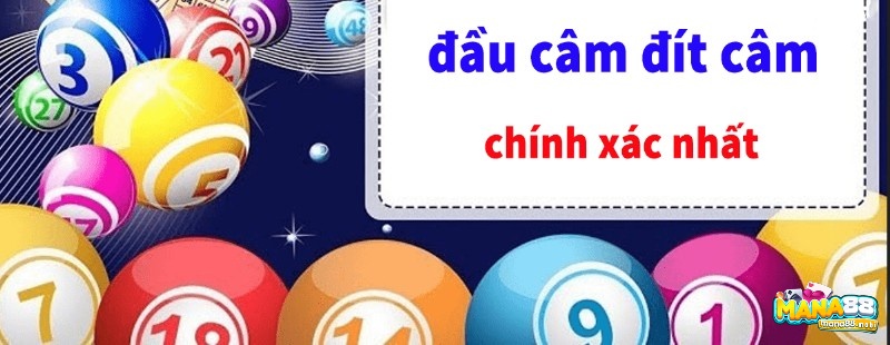 Soi cầu 568 dựa vào đầu đuôi câm có tỉ lệ thắng cao