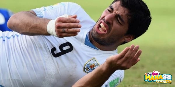 Suarez đã chinh phục mọi thử thách và giành được nhiều danh hiệu quan trọng