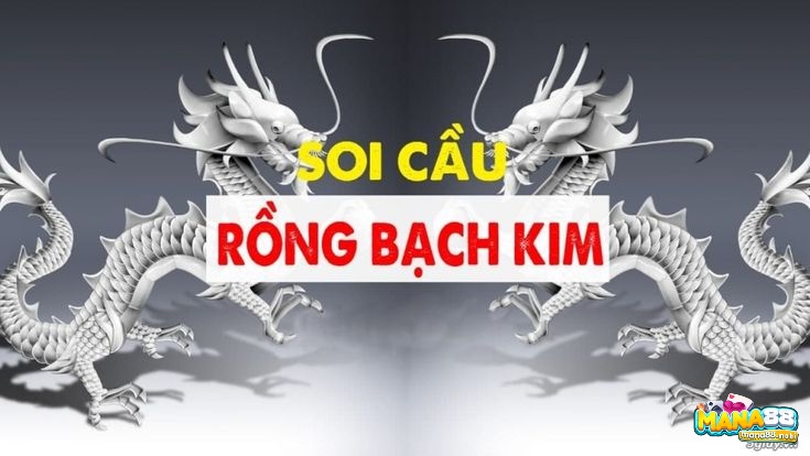 Giới thiệu sơ lược về soi cầu bạch kim