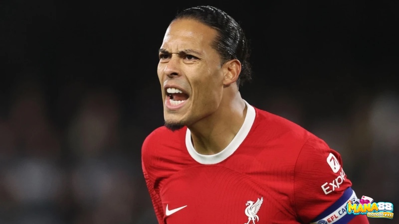 Virgil van Dijk nằm trong hậu vệ hay nhất c1 là nhân tố then chốt trong hành trình đăng quang c1