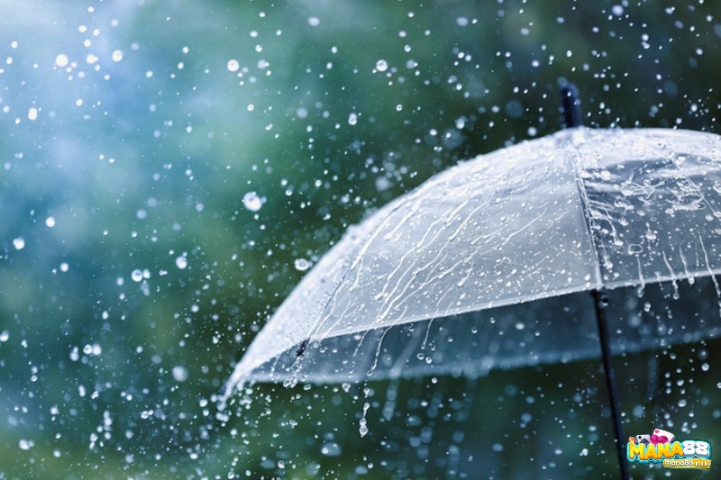 Giải mã giấc mơ thấy mưa theo từng chi tiết