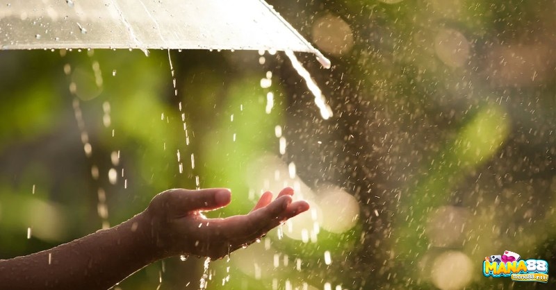 Chiêm bao thấy mưa nhỏ dự báo về thành công