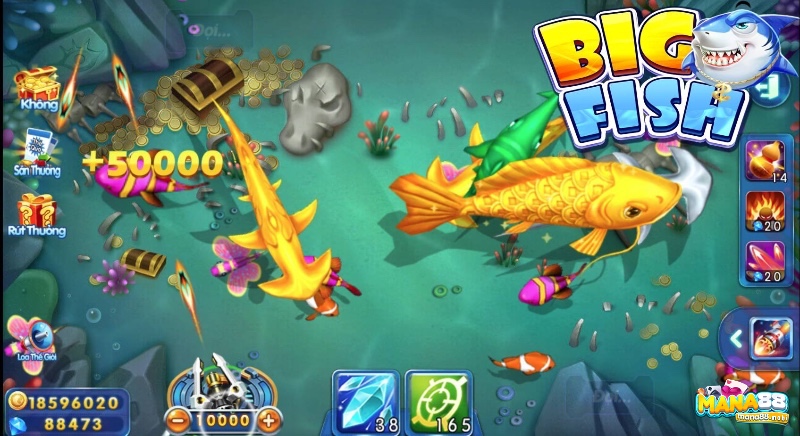 Các thắc mắc thường gặp về top game bắn cá đổi thưởng giúp người chơi yên tâm hơn khi tham gia.