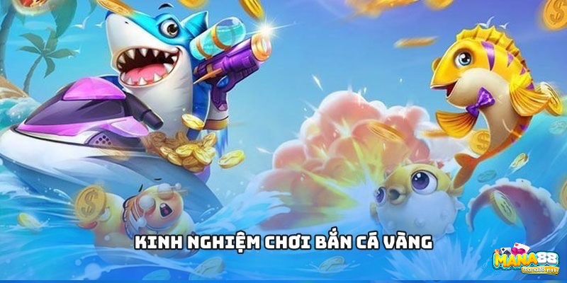 Kinh nghiệm chơ game bắn cá Vàng dễ thắng cho tân thủ