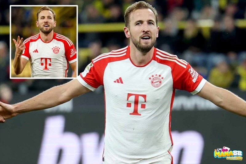 Harry Kane và Robert Lewandowski thể hiện đẳng cấp của top tiền đạo hay nhất Euro với hiệu suất ghi bàn ổn định.