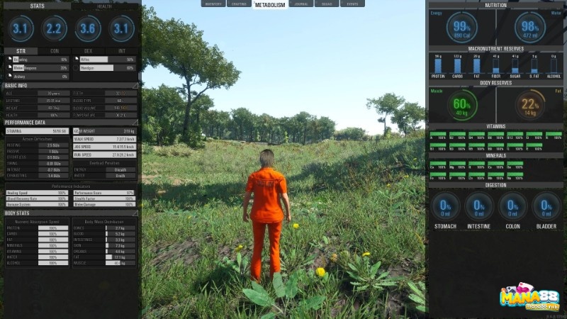 Các chỉ số thể lực biến việc di chuyển và mang vác thành lựa chọn chiến thuật có giá trị