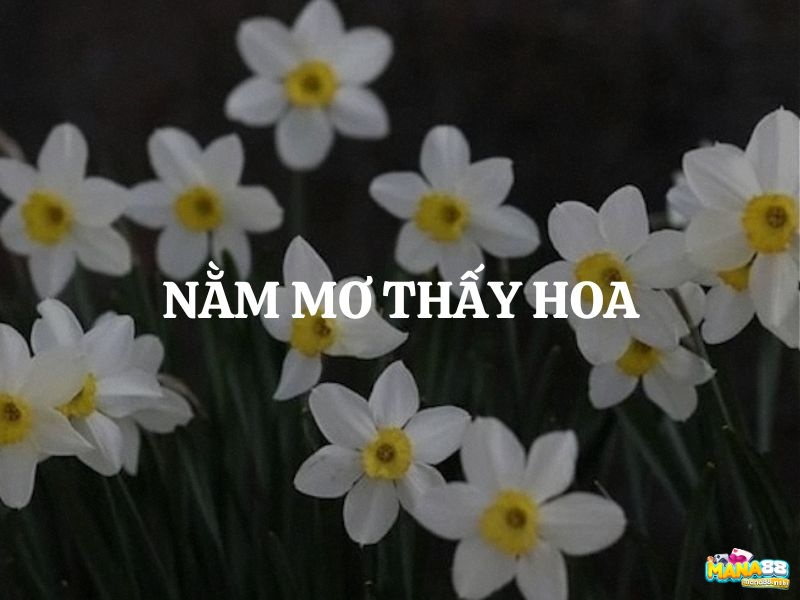 Xem chi tiết điềm báo khi mơ thấy hoa để nắm bắt thông điệp