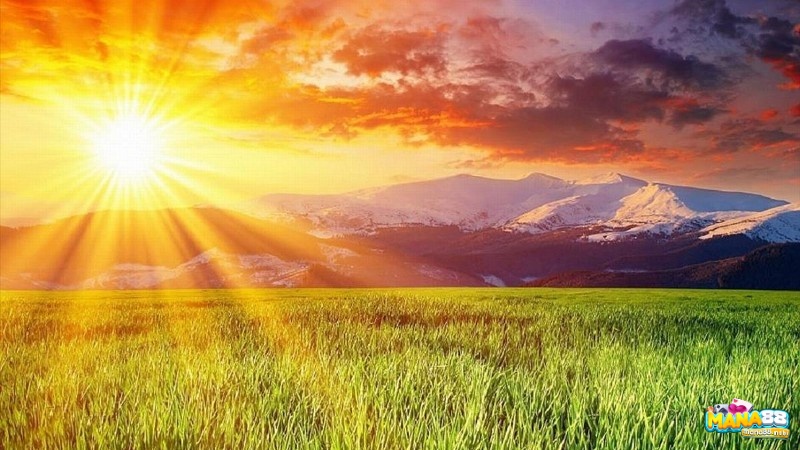 Giải mã giấc mơ thấy mặt trời số mấy cùng các điềm báo liên quan